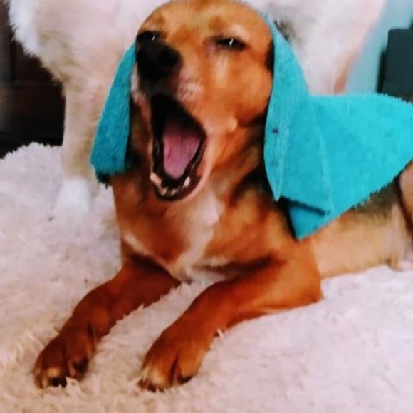 Meet your Posher, Brandon jeffers - Picture 1 of 1